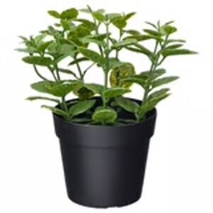 FEJKA Artificial Mint Potted Plant Your Effortless Green Fix No Watering Needed